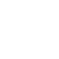 Expert Technical Assistance